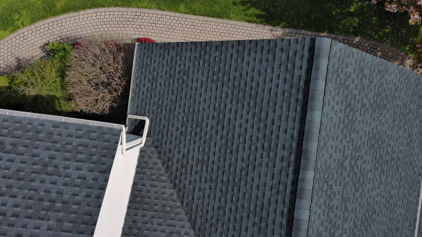 Best Roof Moss and Algae Removal  in Camp Wood, TX